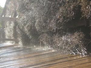 Tężnia solankowa, Konstancin-Jeziorna